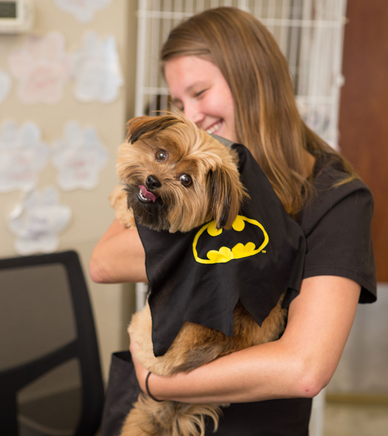 Payment Options | Animal House Veterinary Hospital