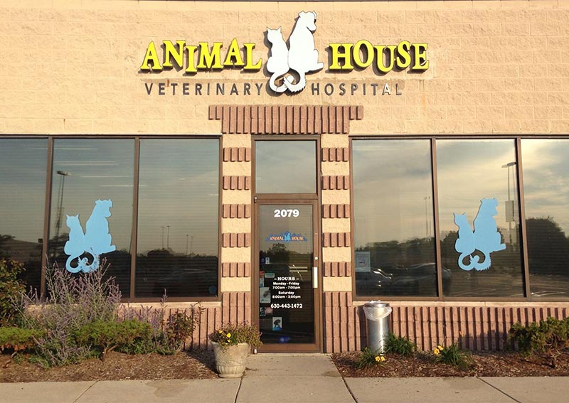 Carousel Slide 2: Animal House Veterinary Hospital, St. Charles